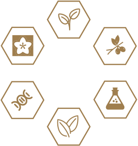 中国·太阳集团0638(股份)有限公司-官方网站